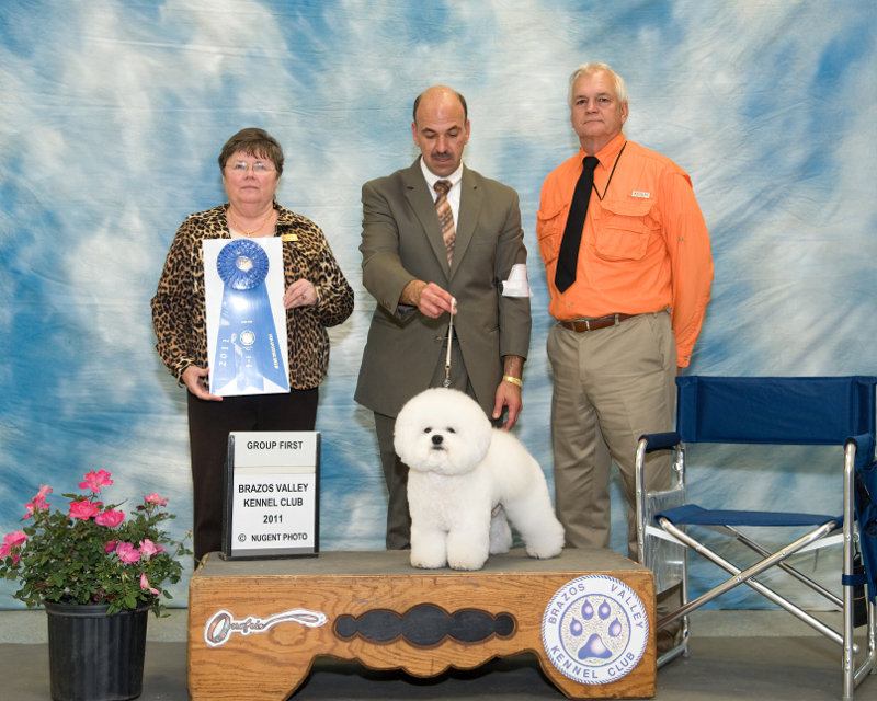 Sunday's Non-Sporting Group Winner